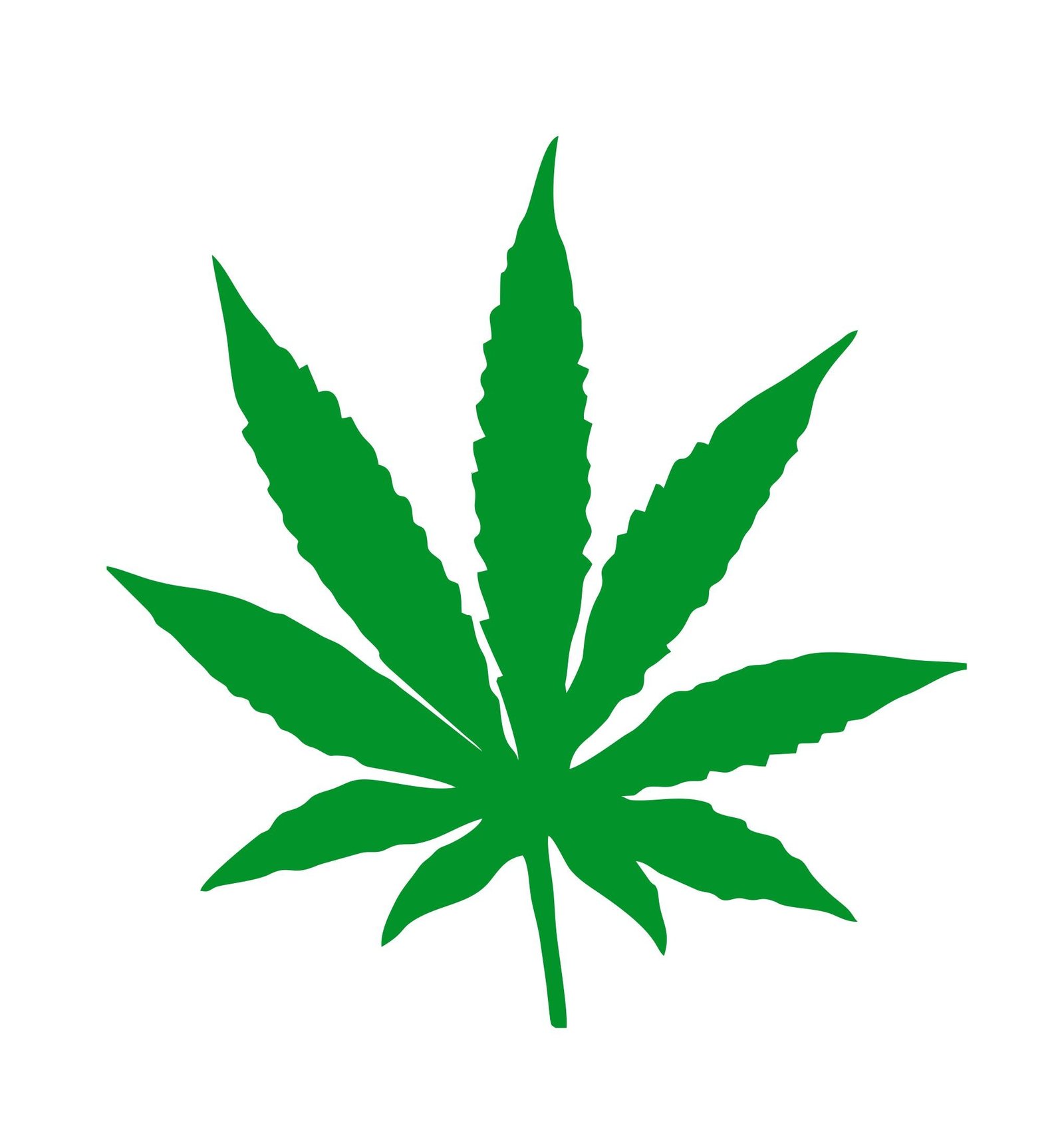 Folha de cannabis